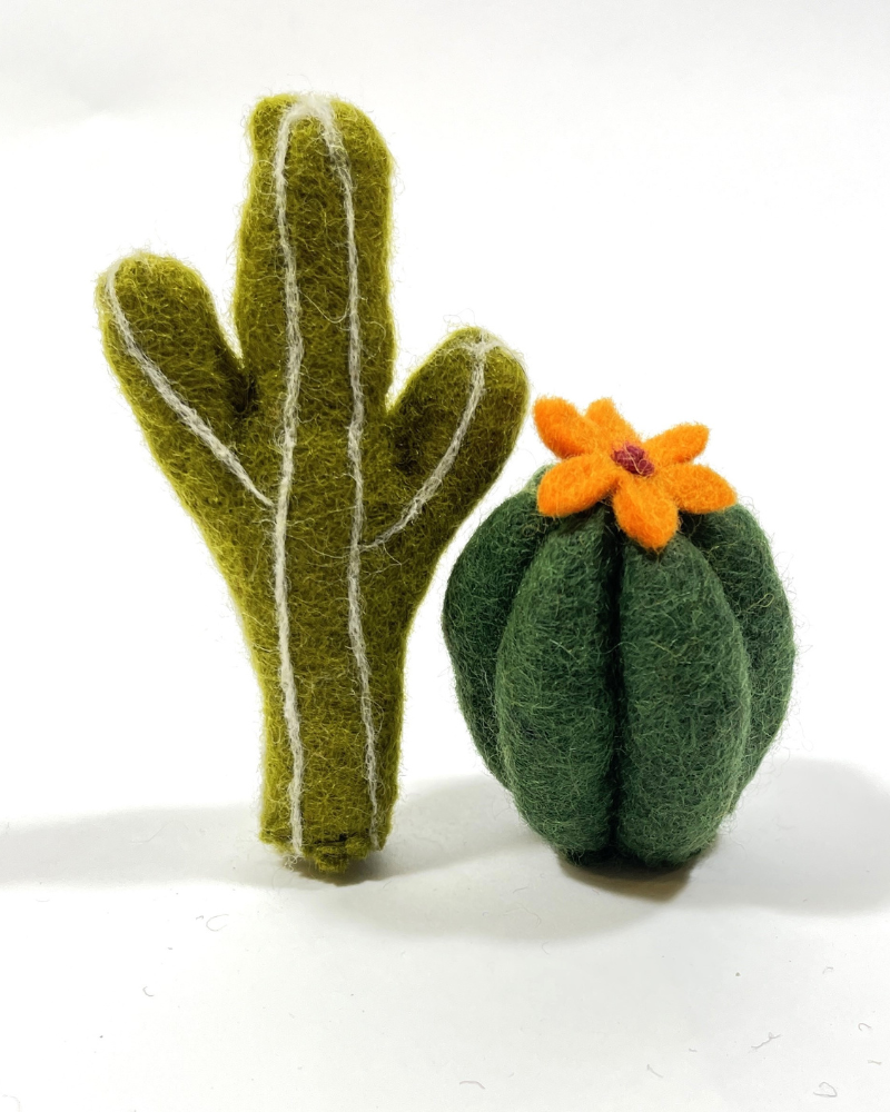 Succulent Cat Toys (2-Pack)
