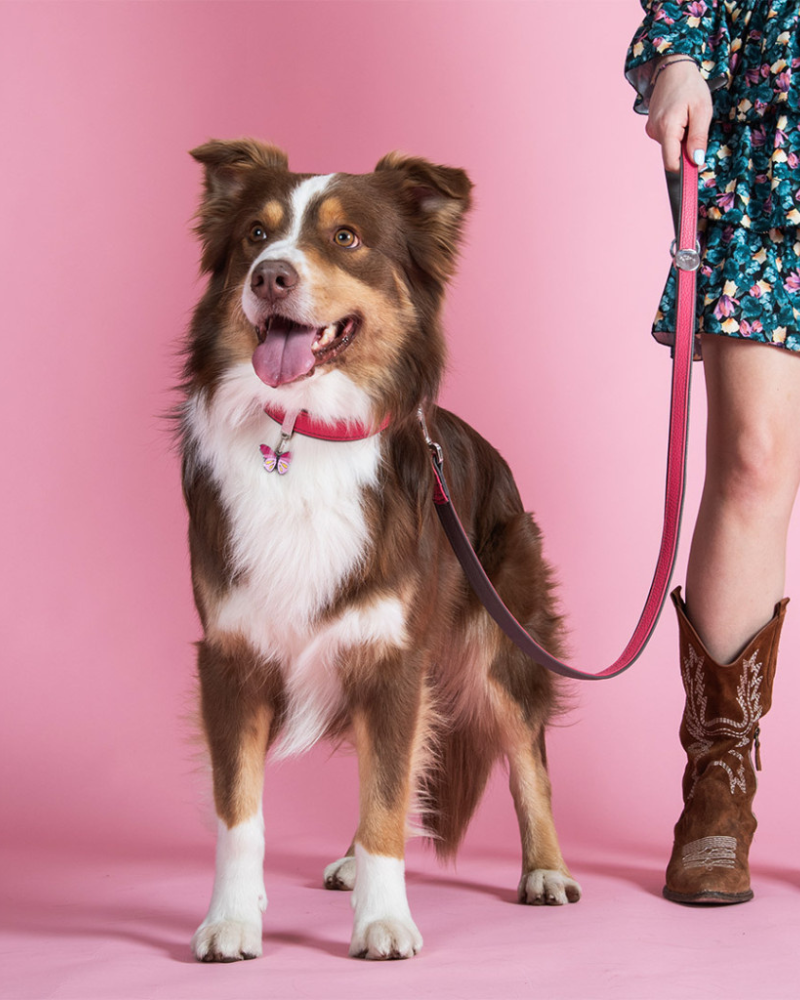 Butterfly Custom Pet ID Tag