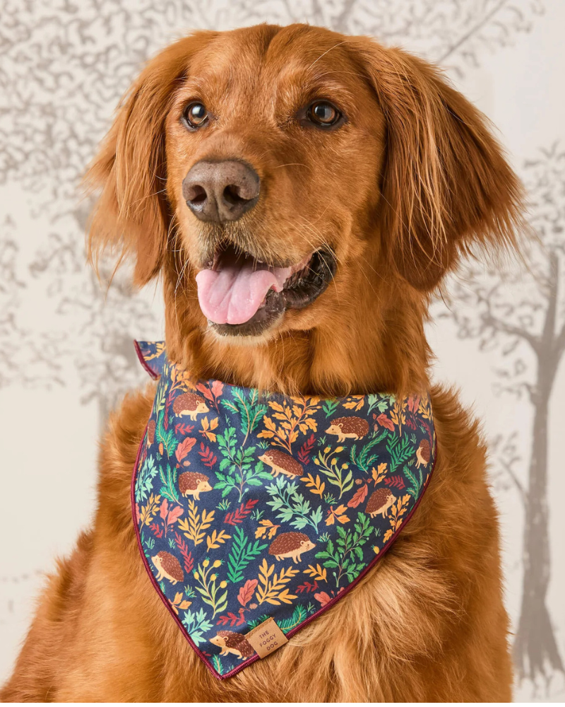 Hedgehog Hollow Cotton Dog Bandana (Made in the USA)