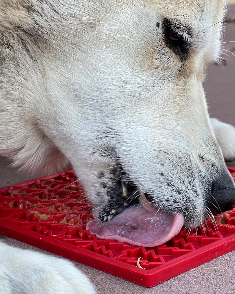 Pine Tree Pet Lick Mat (Made in the USA)