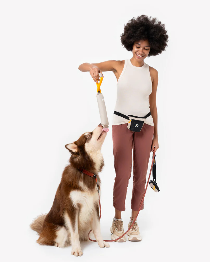 Tugger Dog Toy in Con Leche