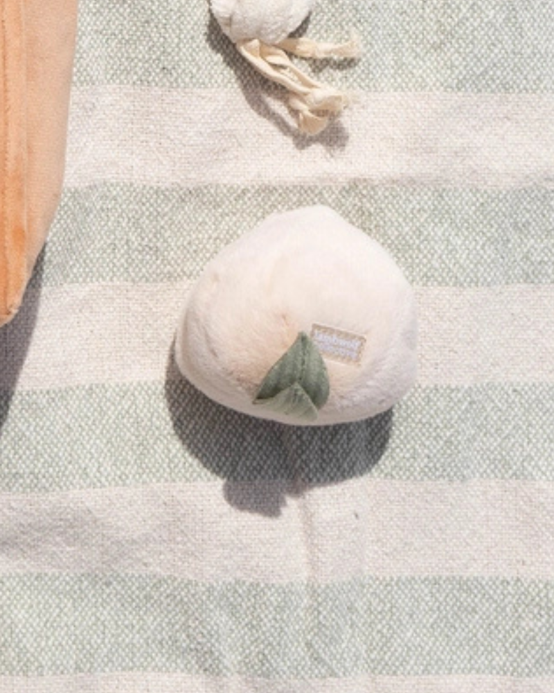 Turnip Squeaky Plush Toy for Dogs