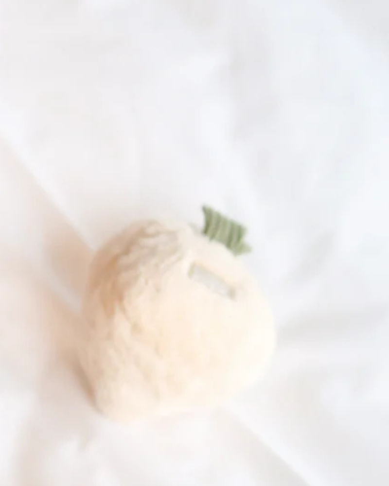 Turnip Squeaky Plush Toy for Dogs