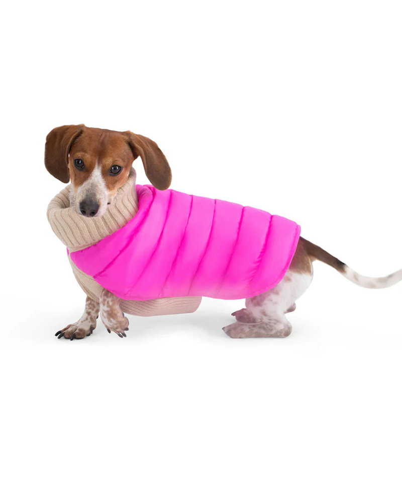 The Puffer Dog Sweater in Tan & Pink