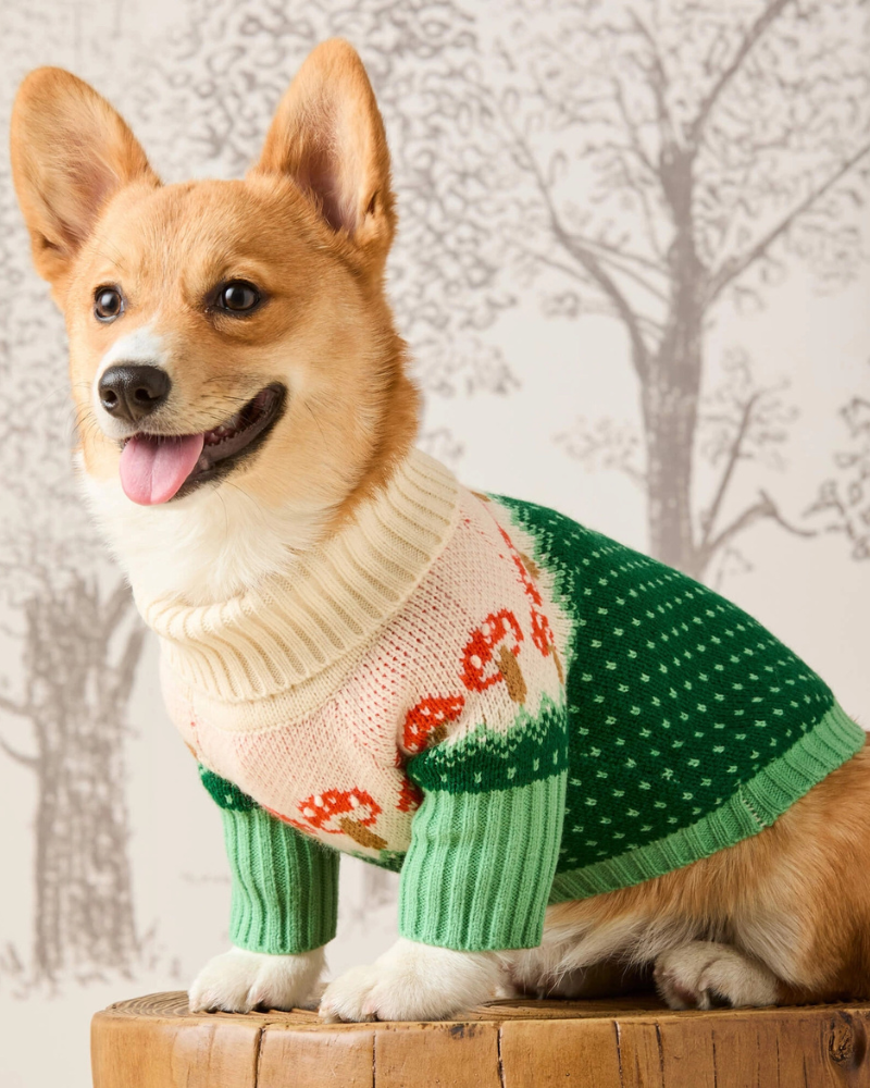 Mushroom Toadstool Knit Dog Sweater
