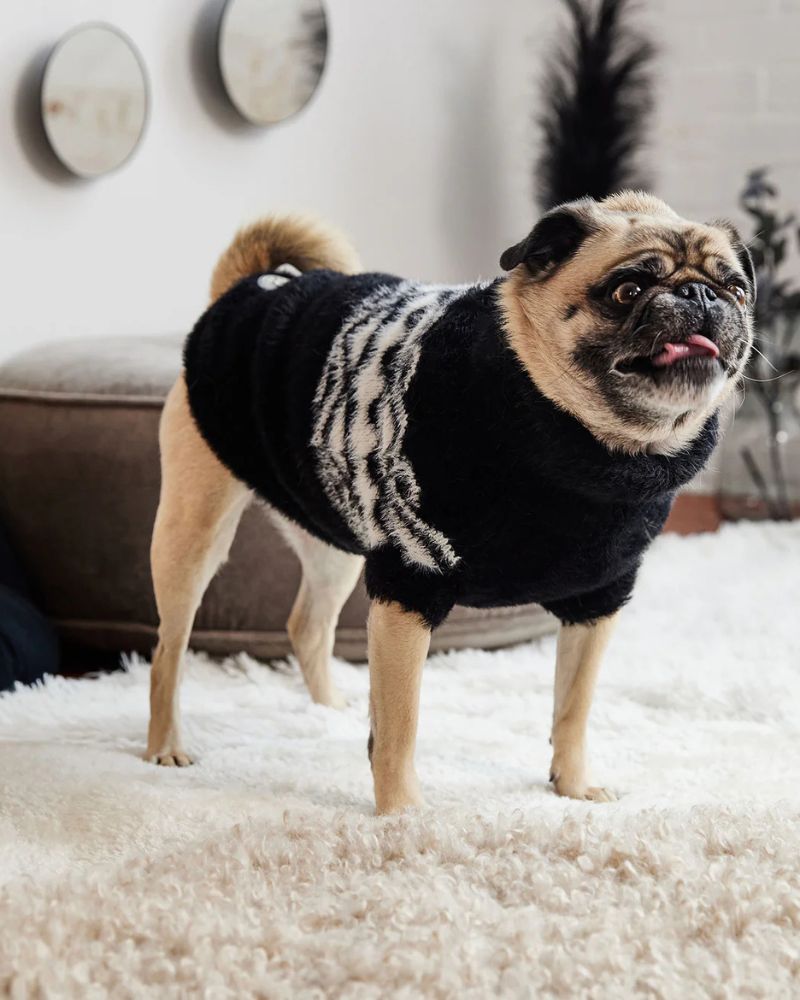 Fuzzy Dog Sweater in Black