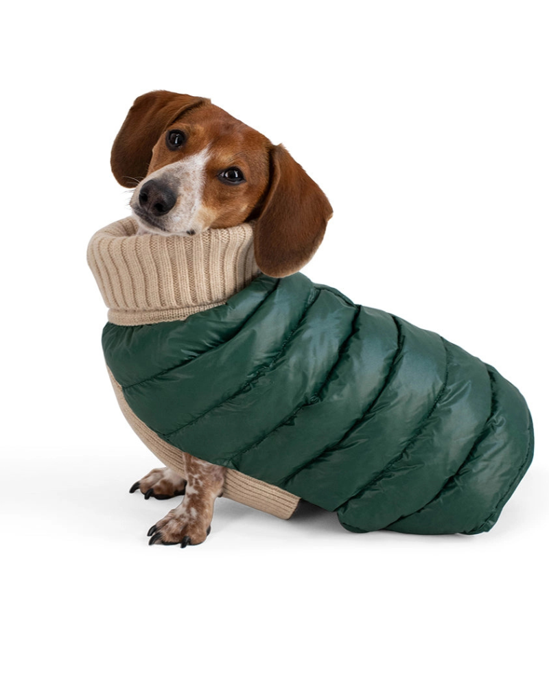 The Puffer Dog Sweater in Tan & Green
