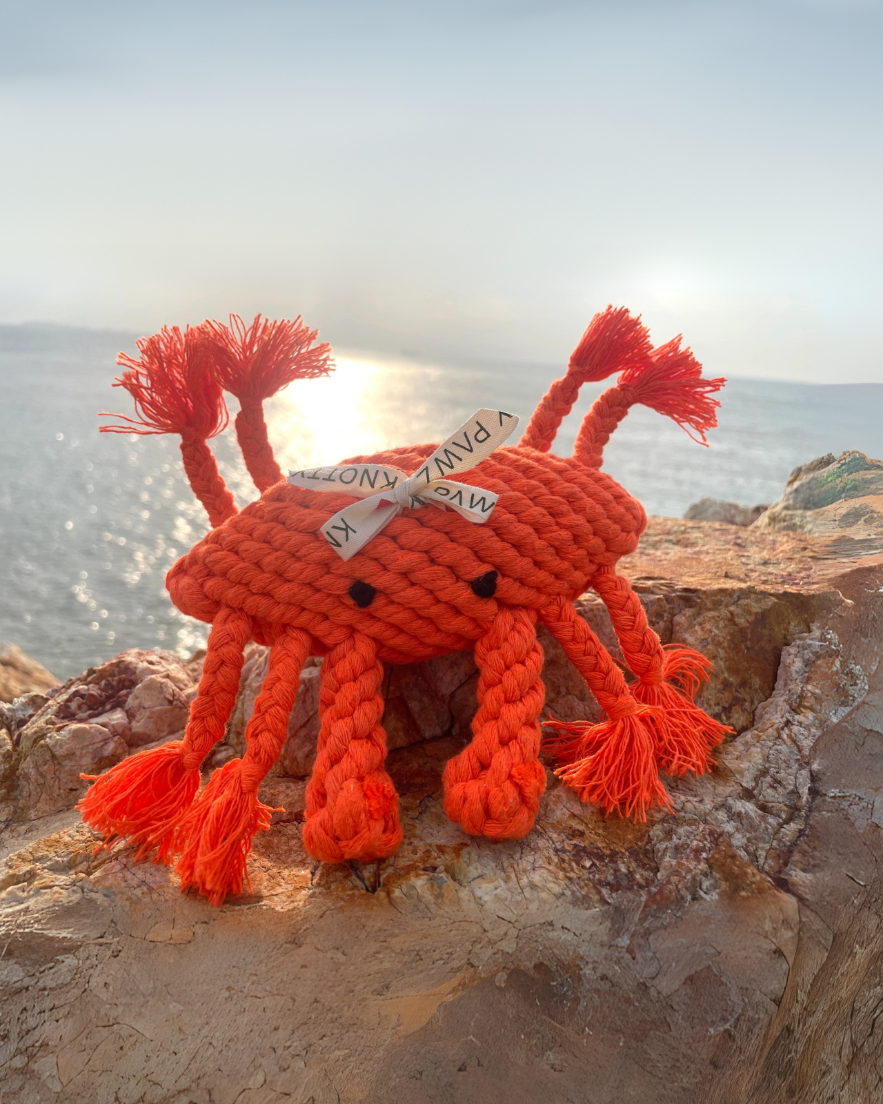 Happy The Crab Sustainable Handmade Nautical Dog Rope Toy