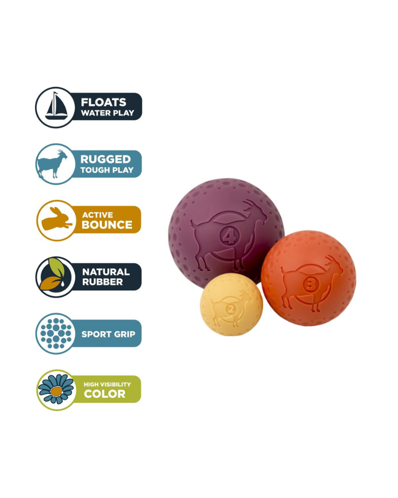 Rubber Floating Dog Ball Toy