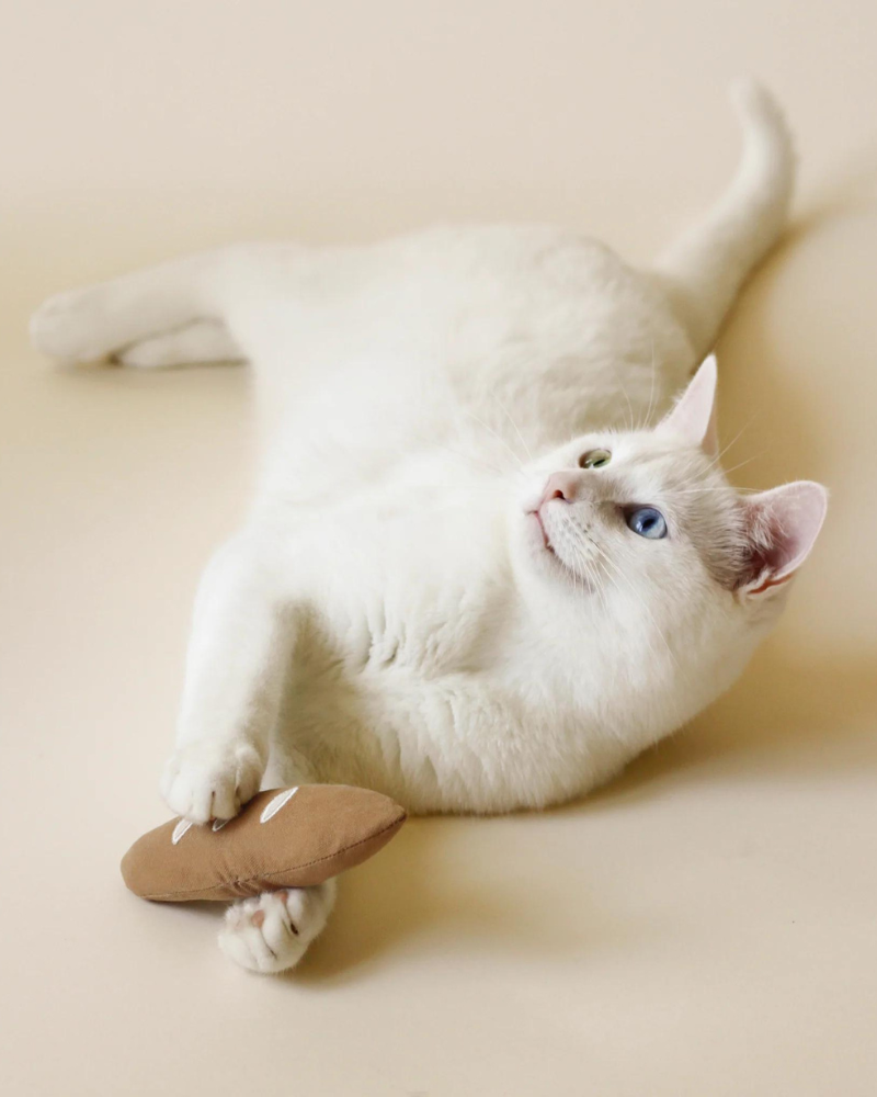 Warm Baguette Catnip Toy