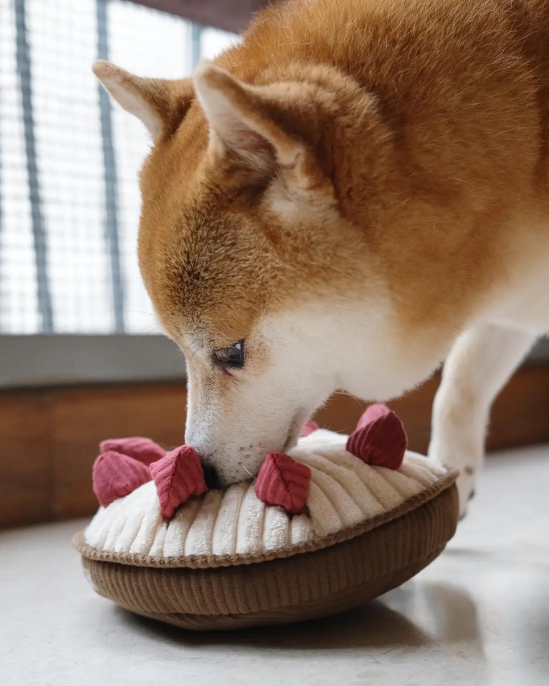 Berry Pie Snuffle Squeaky Dog Toy