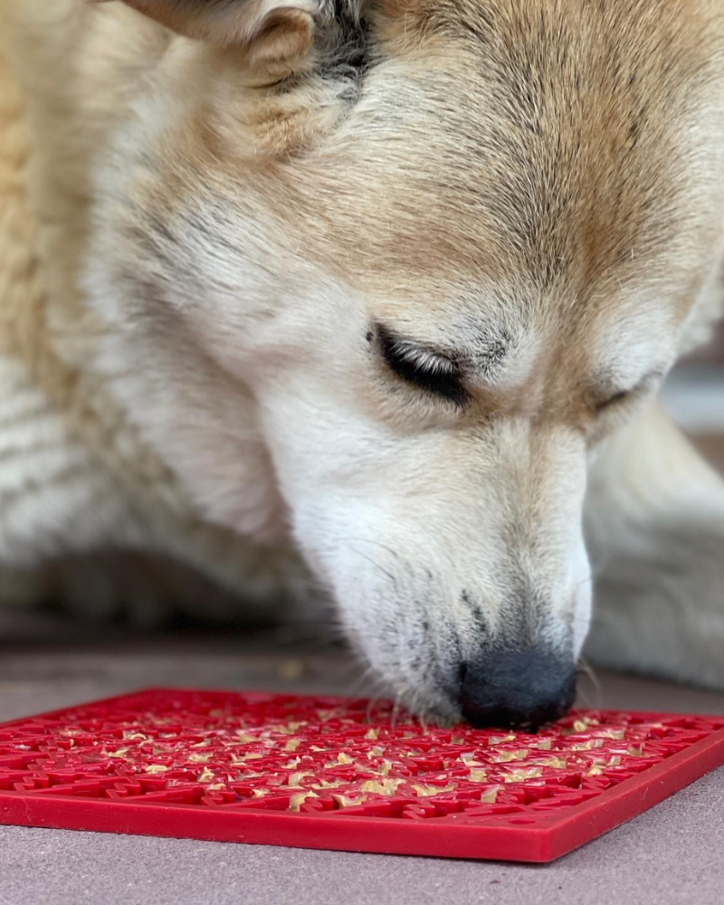 Pine Tree Pet Lick Mat (Made in the USA)