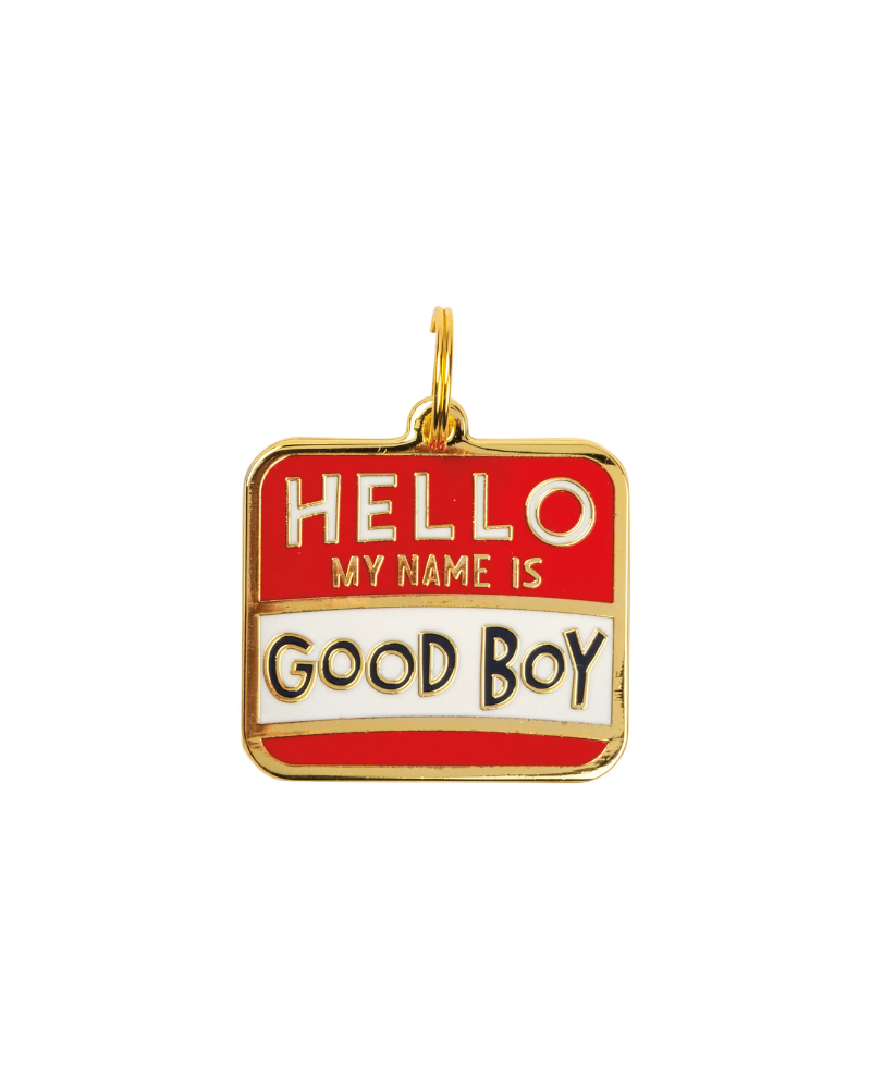 HELLO My Name is Good Boy Collar Charm