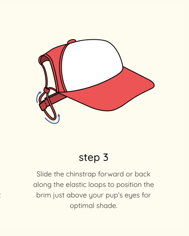 Brooklyn Varsity Pet Trucker Hat