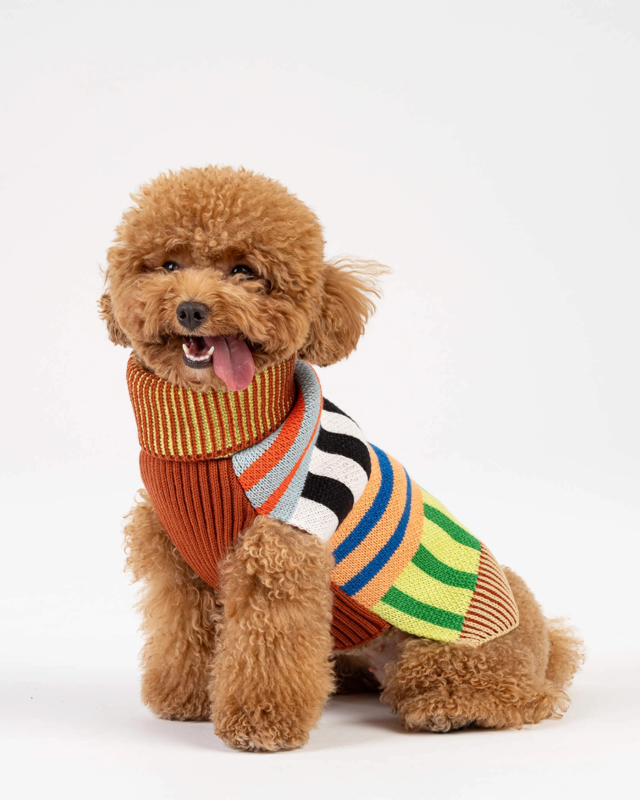 Patchwork Stripe Dog Sweater