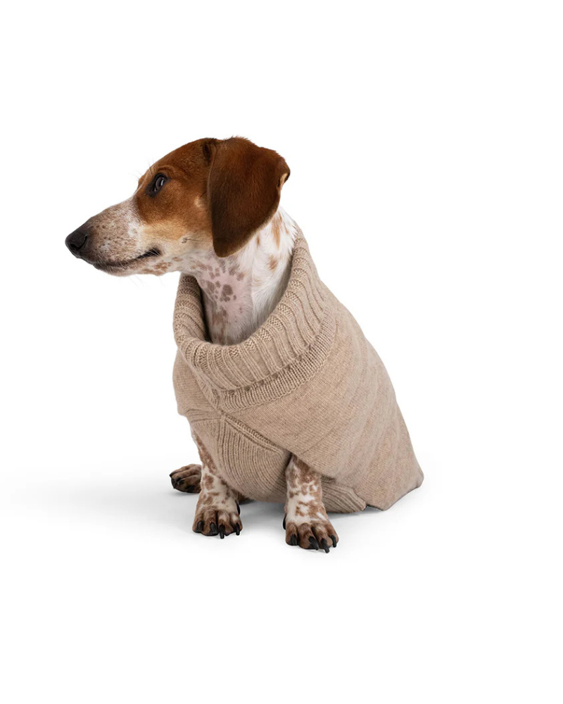The Cashmere Puffer Dog Sweater in Tan