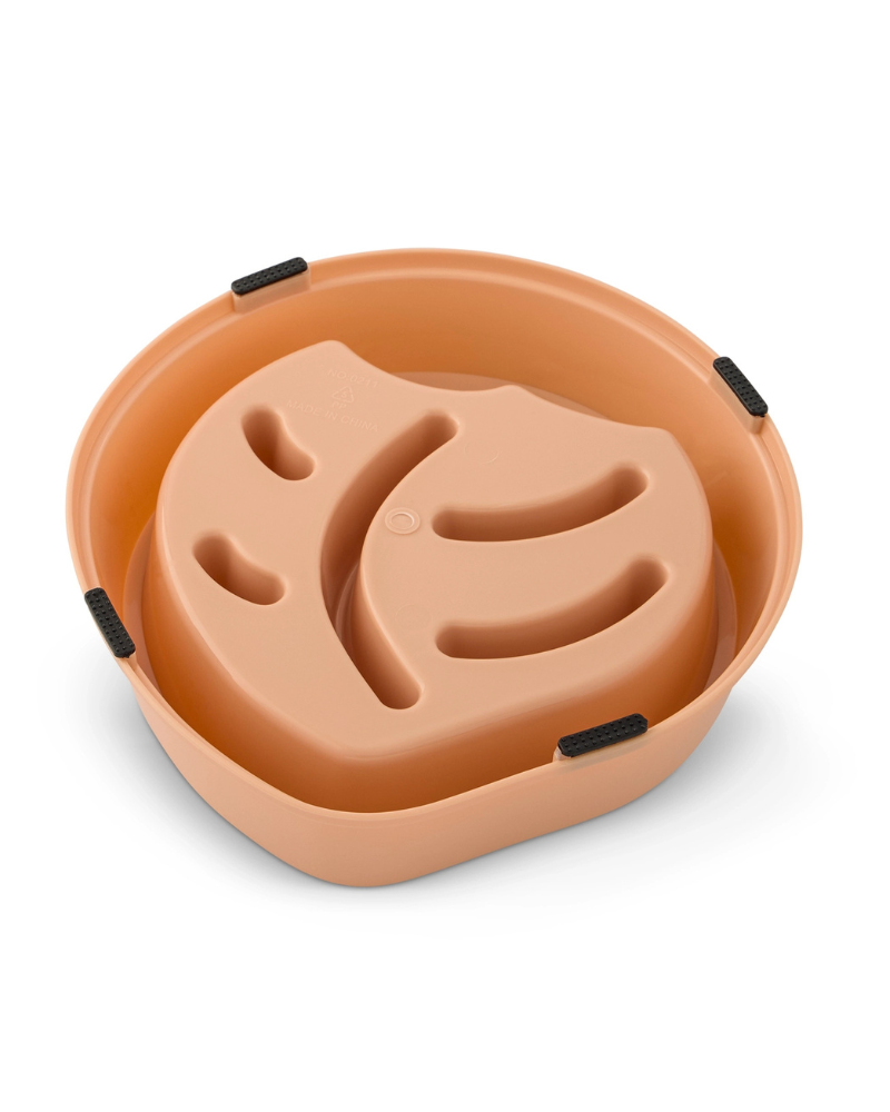 Peach Slow Feeder for Dogs