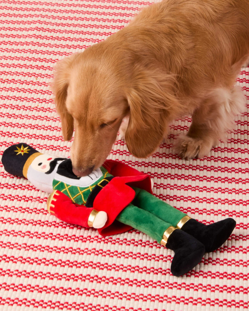 The Nutcracker Crinkly Plush Dog Toy