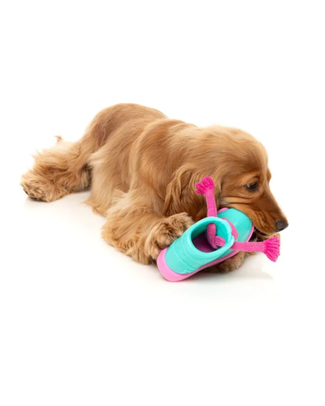 Fresh Kicks 'N' Licks Interactive Chew Toy