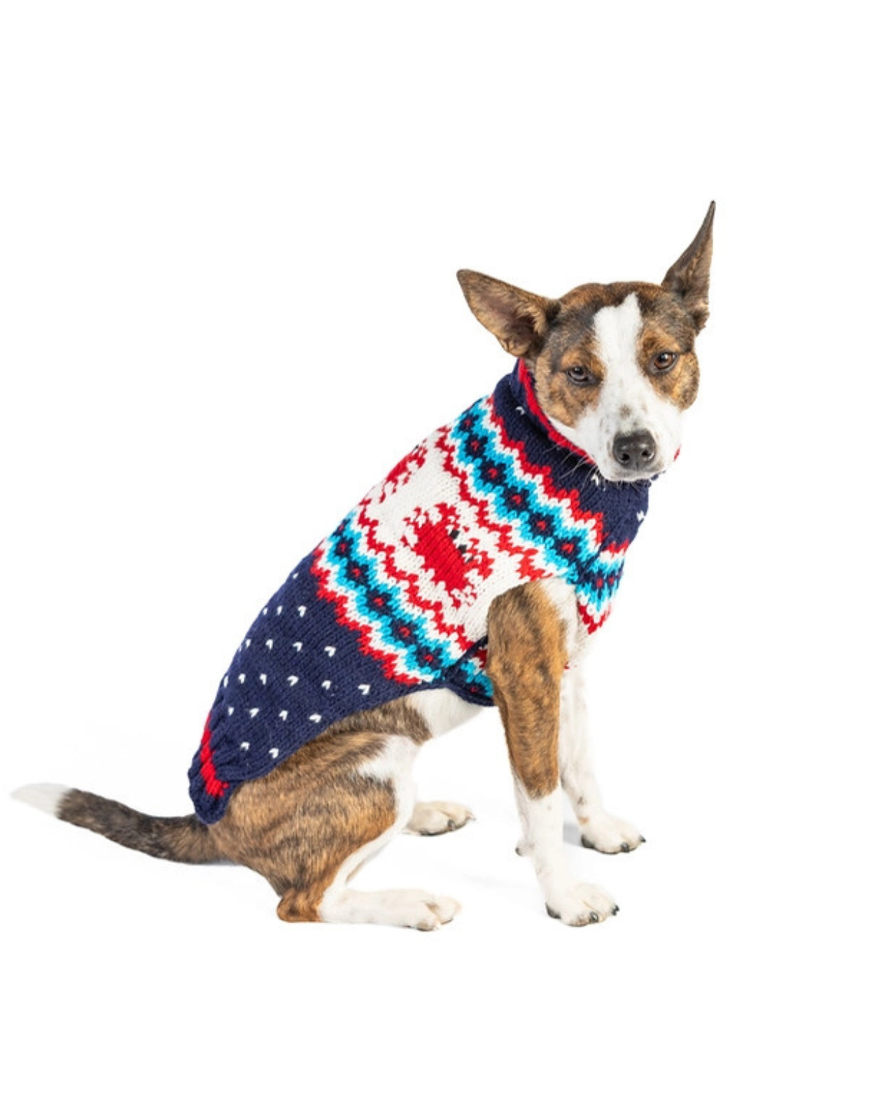 Crabby Coast Wool Dog Sweater