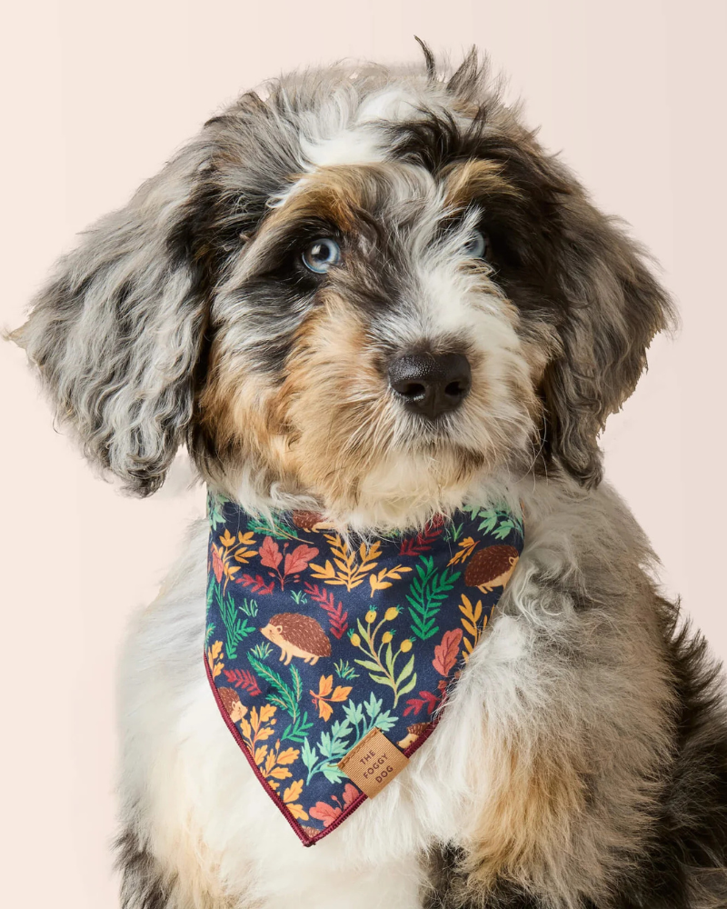 Hedgehog Hollow Cotton Dog Bandana (Made in the USA)
