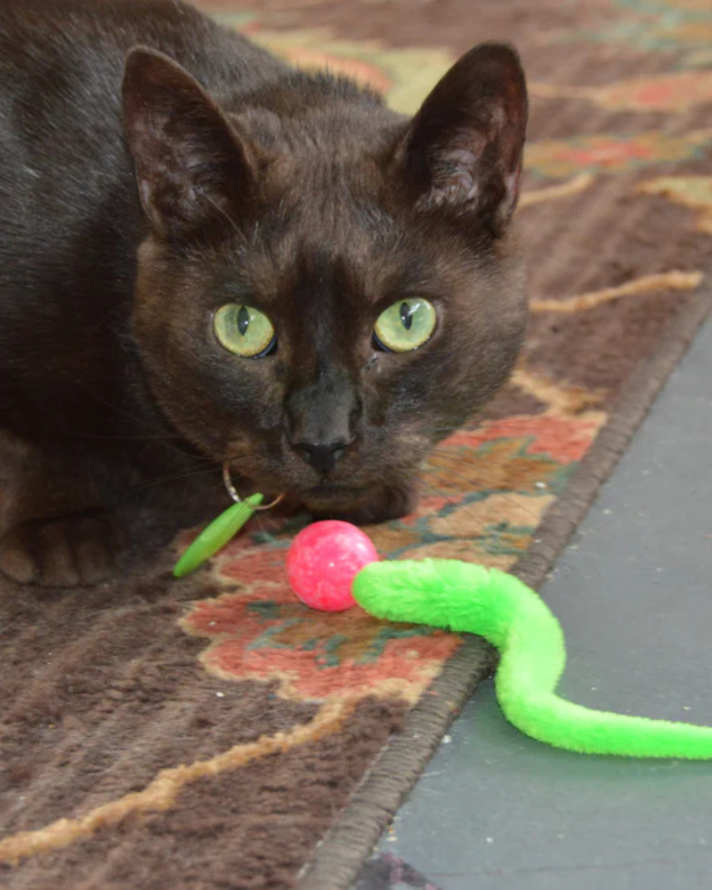 Wiggy Ball Cat Toy (Made in the USA)