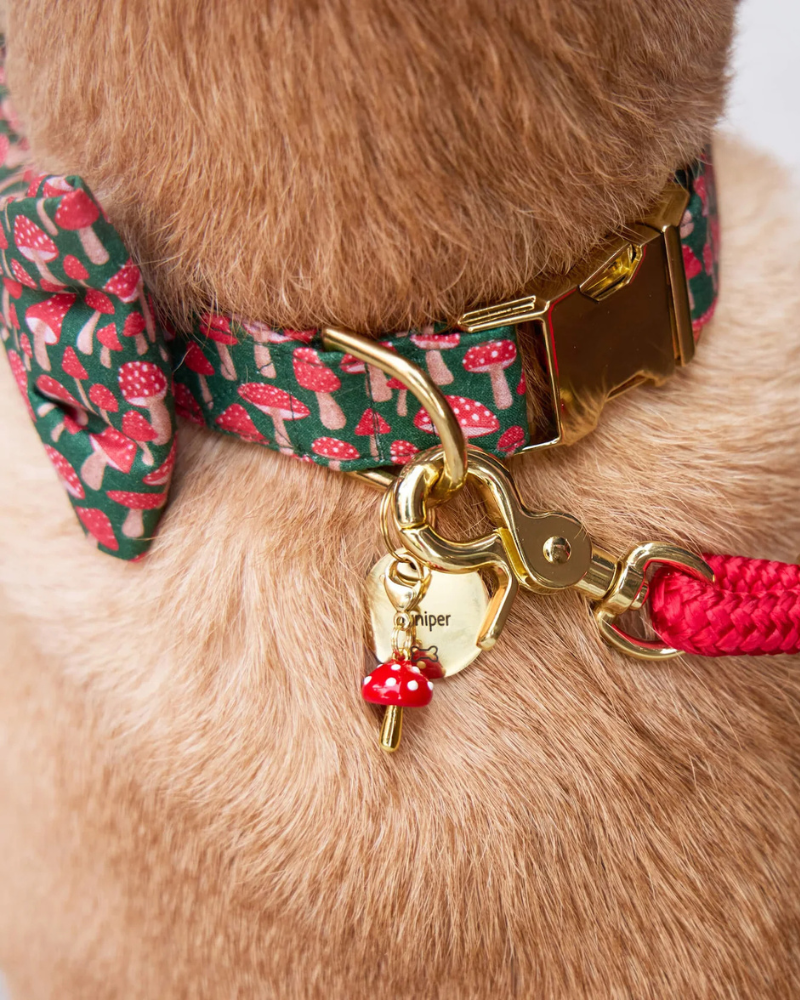 Toadstool Dog Collar Charm