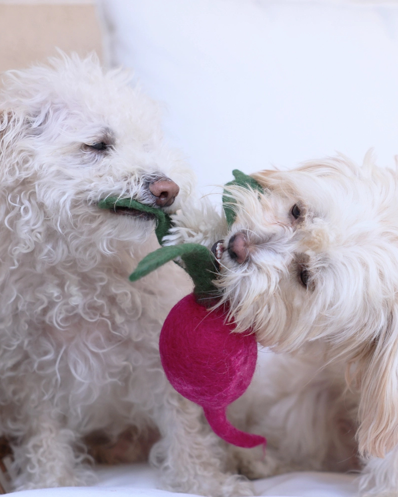 Wool Radish Dog Toy