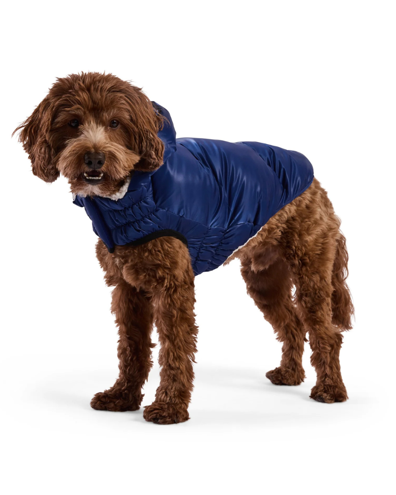 Lunar Glow Dog Parka in Blue