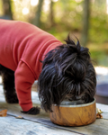 Stainless Steel Dog Bowl in Teakwood