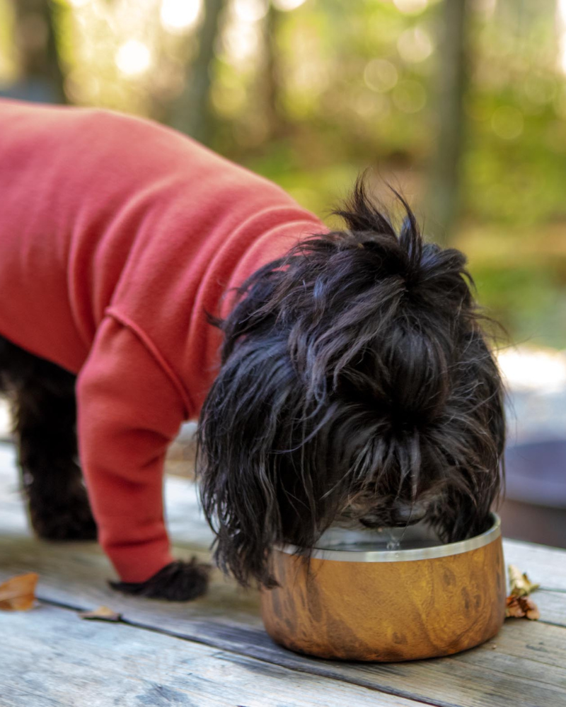 Stainless Steel Dog Bowl in Teakwood