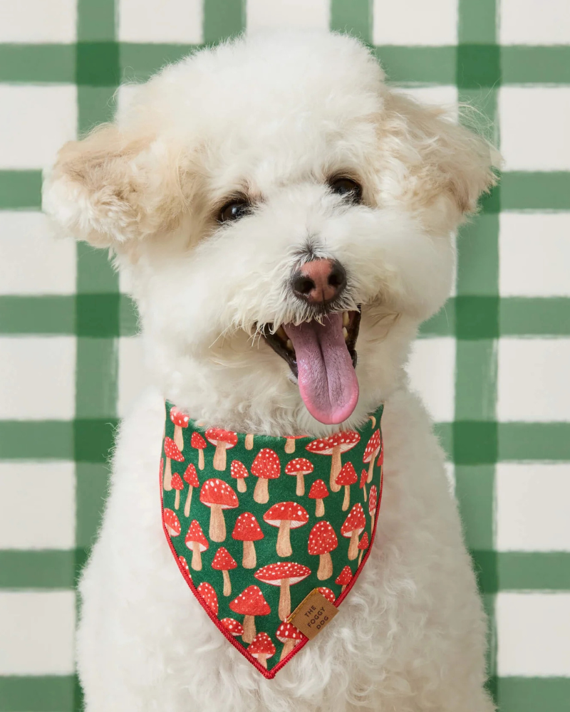 Mushroom Meadow Cotton Dog Bandana (Made in the USA)