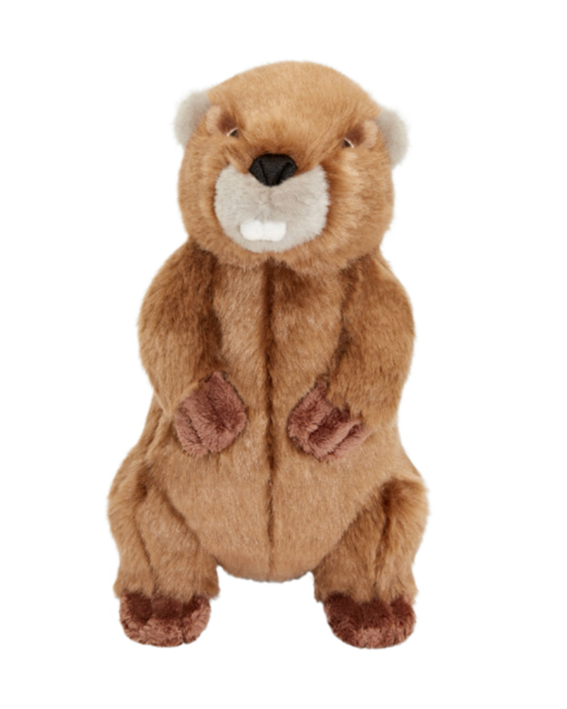 Troy the Beaver Plush Squeaky Dog Toy