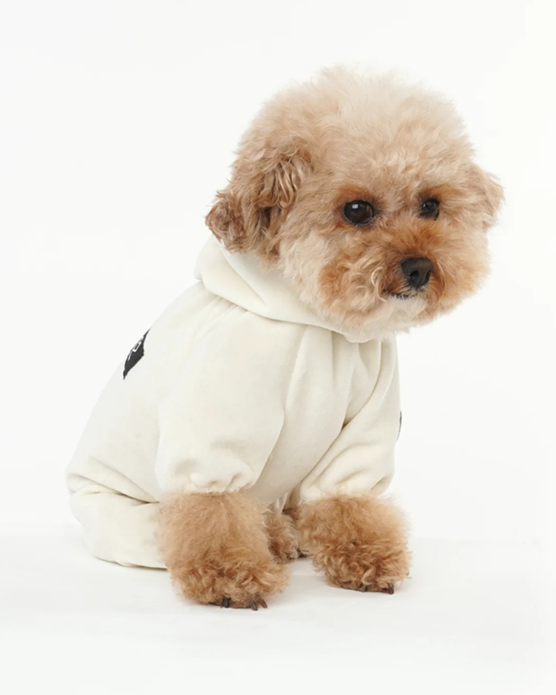 Velour Coverall Onesie for Dogs - French Bulldog Fit (in Purple, Ivory, or Black)