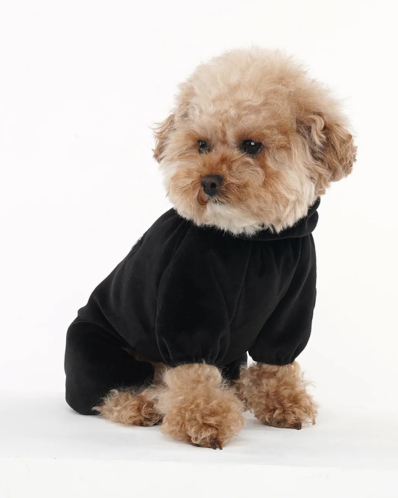 Velour Coverall Onesie for Dogs - Regular Fit (in Purple, Ivory, or Black)