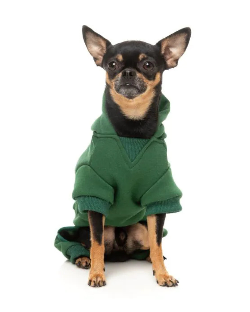 Urban Dog Tracksuit in Green
