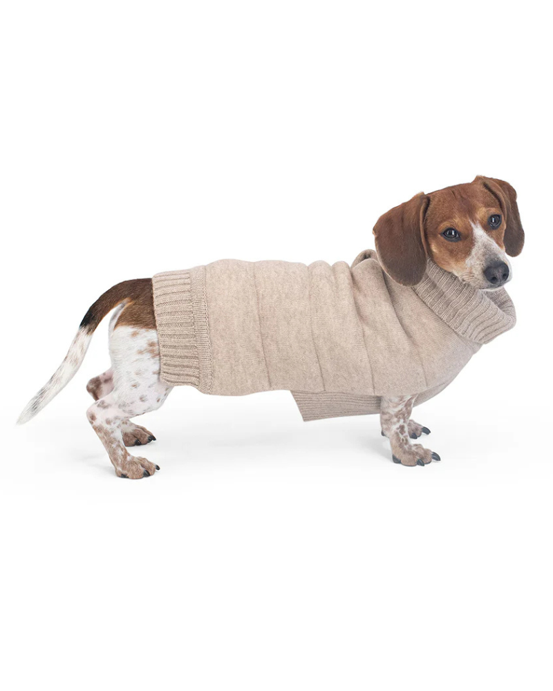 The Cashmere Puffer Dog Sweater in Tan