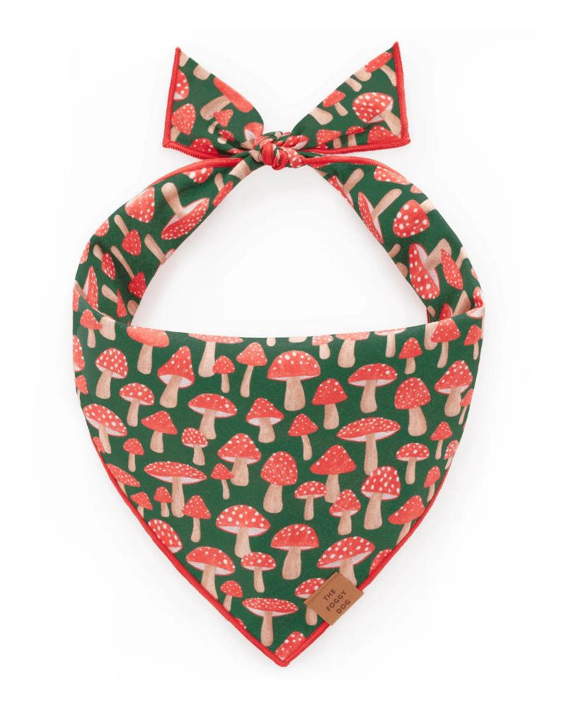 Mushroom Meadow Cotton Dog Bandana (Made in the USA)