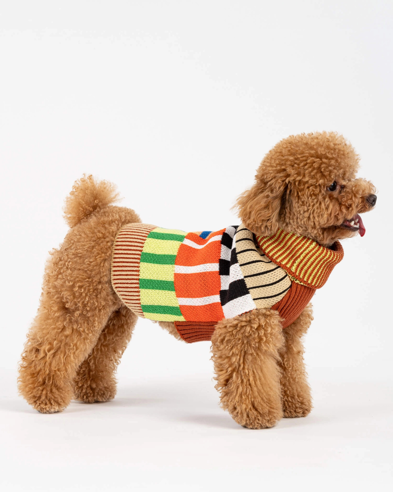 Patchwork Stripe Dog Sweater