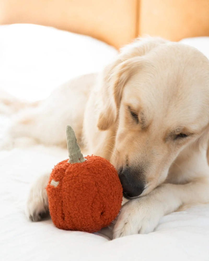 Red Pepper Enrichment Snuffle Dog Toy