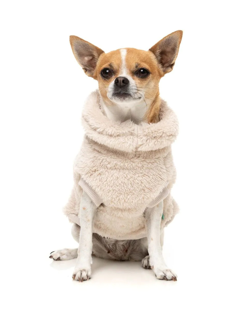 Turtle Teddy Dog Fleece in Beige