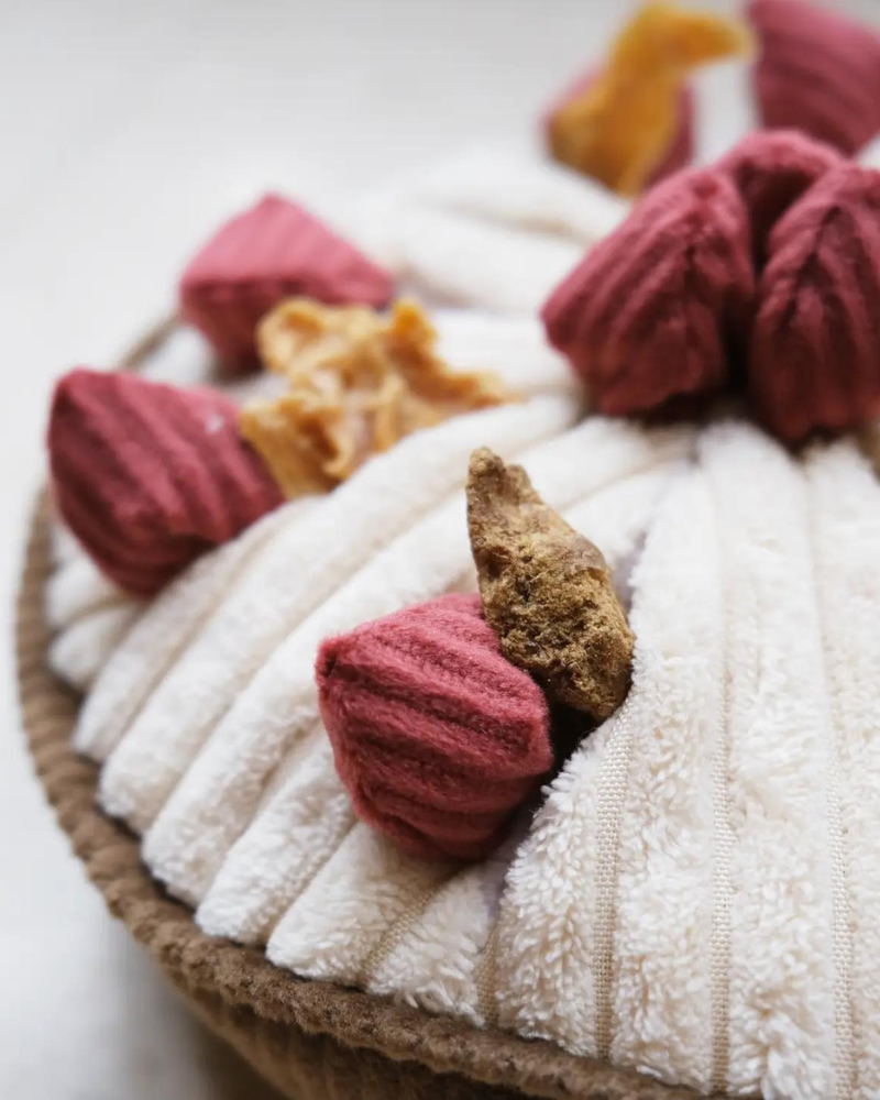 Berry Pie Snuffle Squeaky Dog Toy