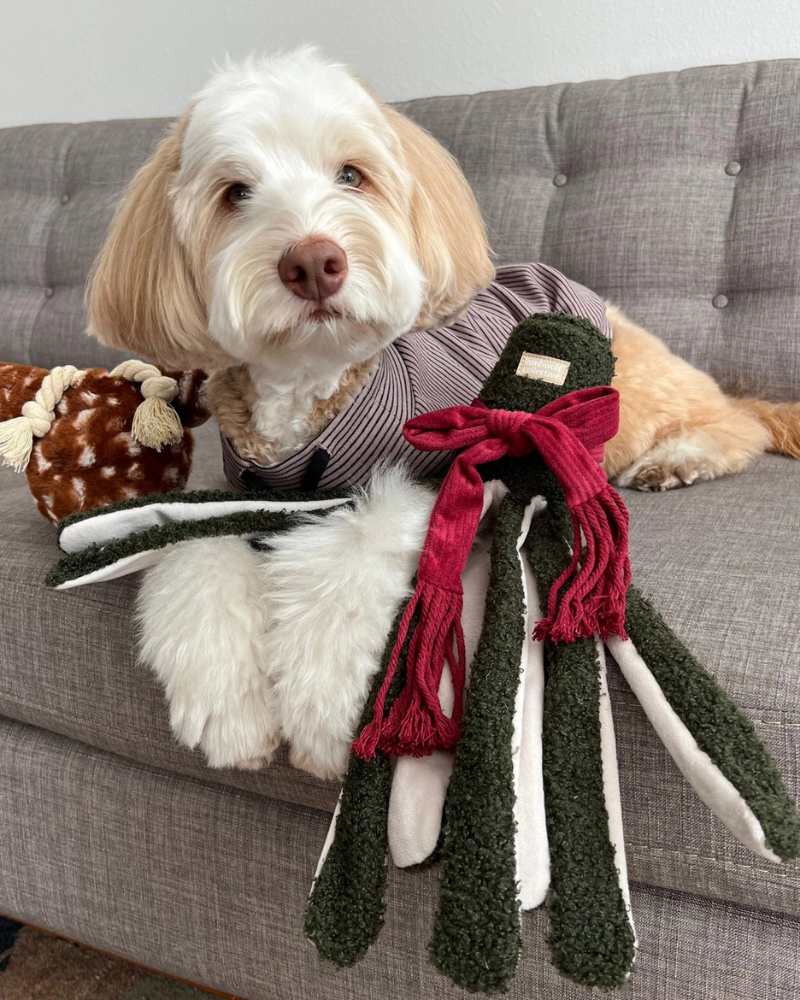 Tako Enrichment Holiday Dog Toy