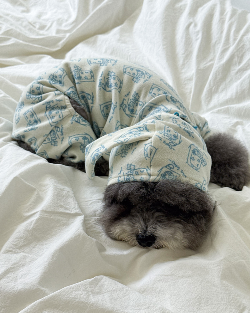 All-In-One Sleeping Time Dog Onesie