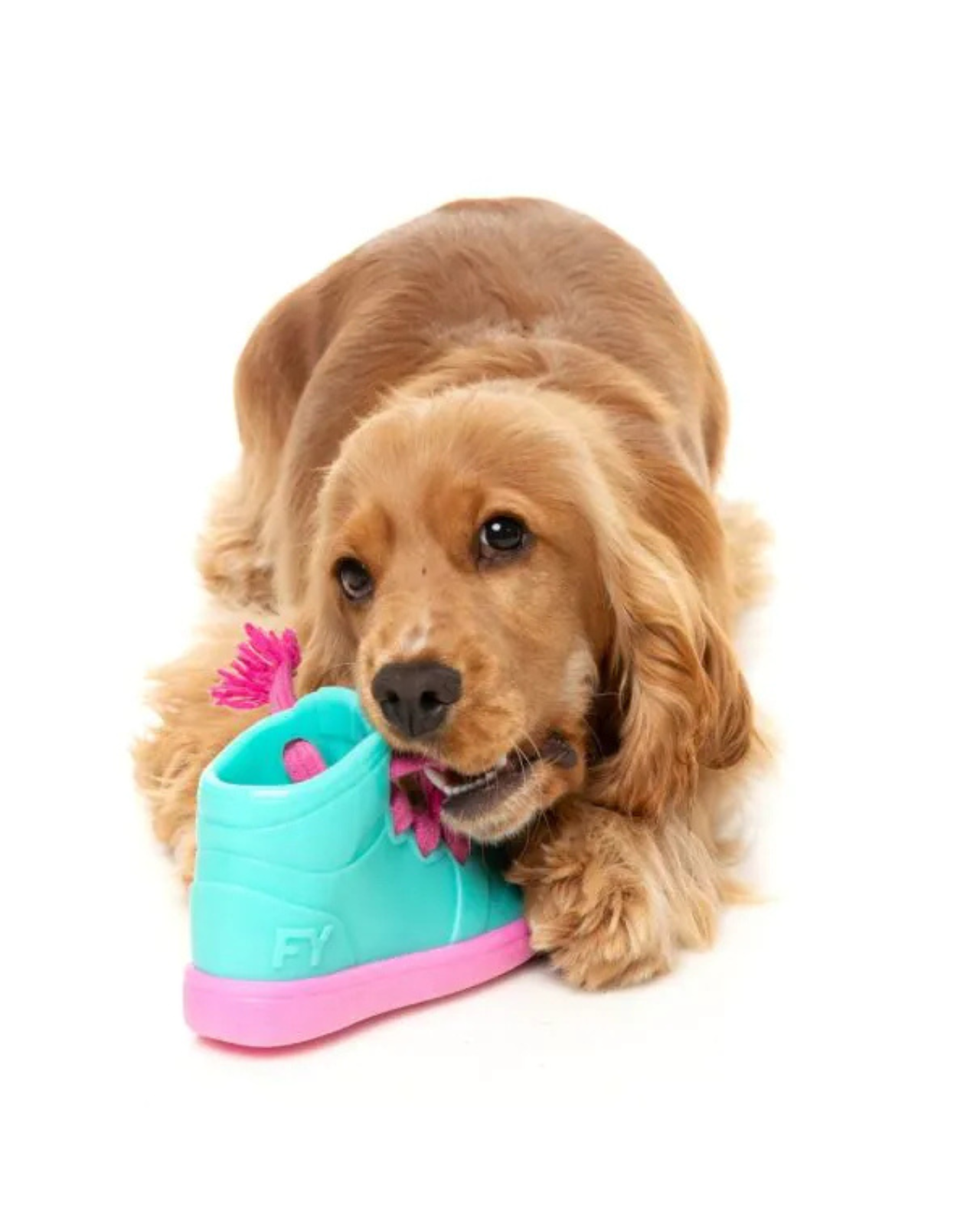 Fresh Kicks 'N' Licks Interactive Chew Toy