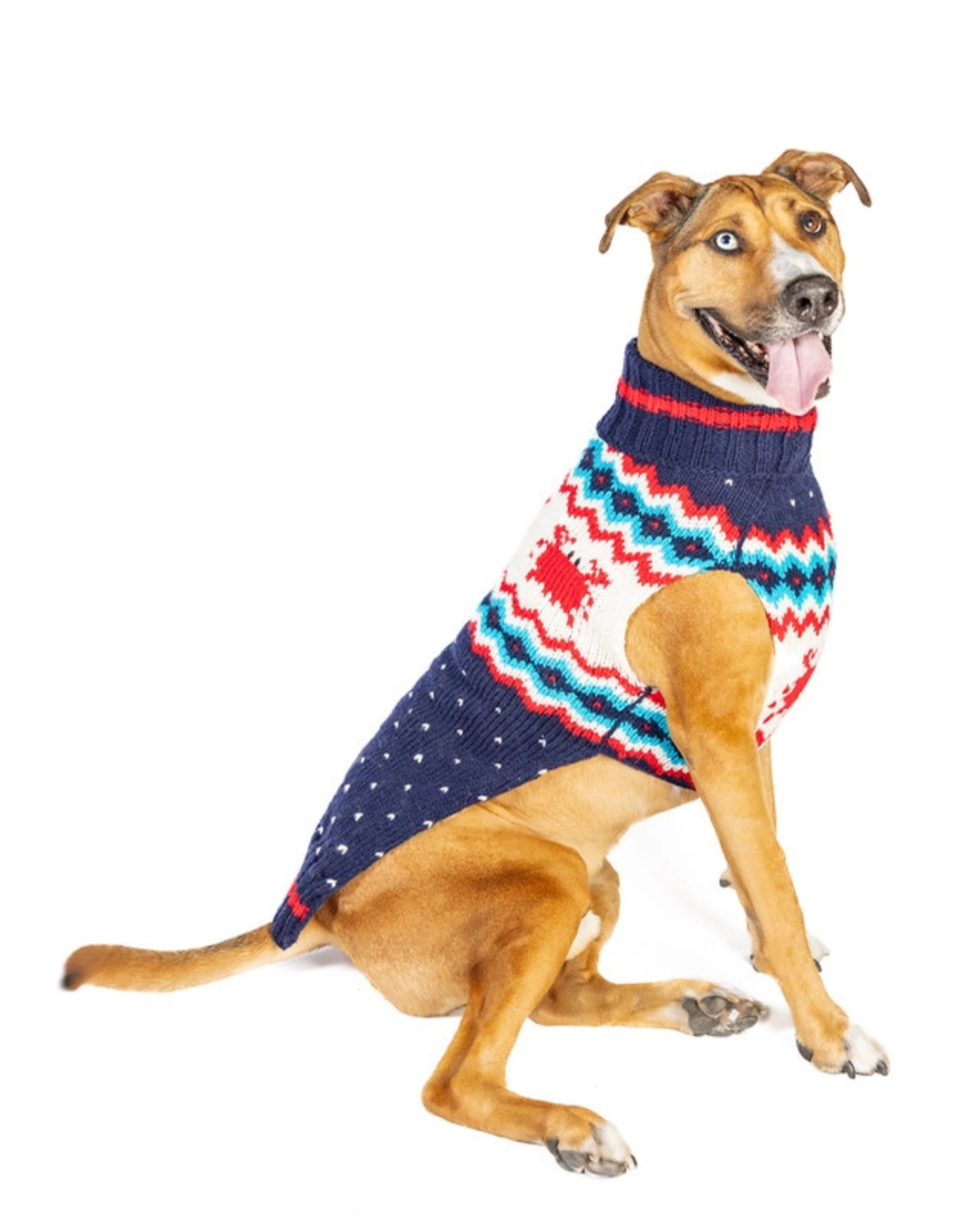 Crabby Coast Wool Dog Sweater