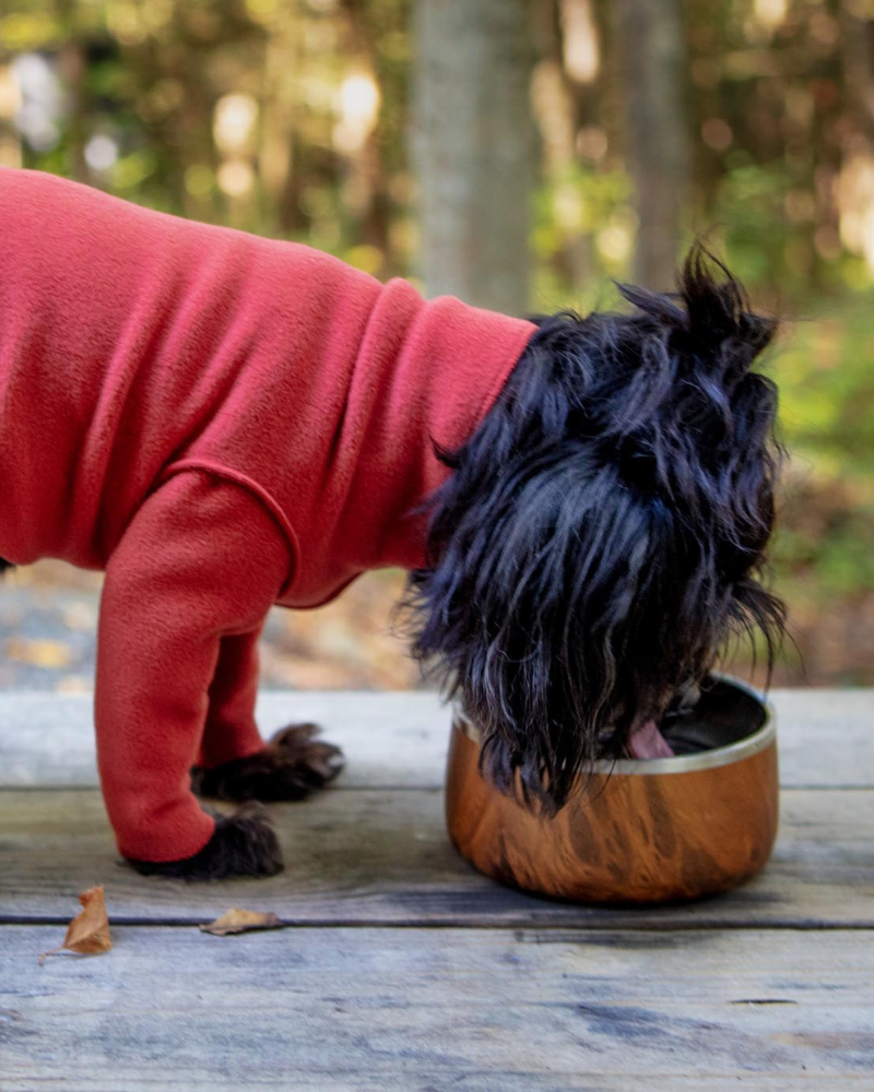 Stainless Steel Dog Bowl in Teakwood