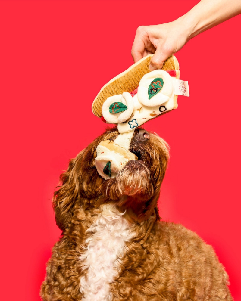 Pizza Nosework Toy for Dogs