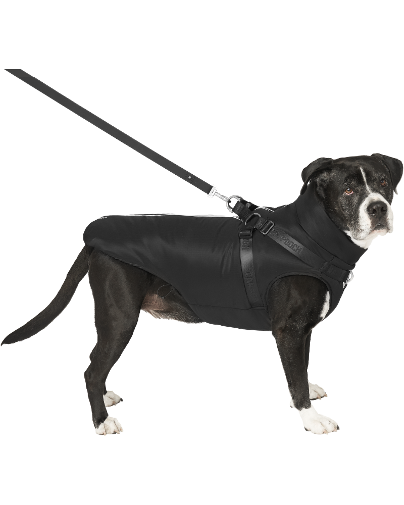 Complete Control Harness Winter Dog Jacket