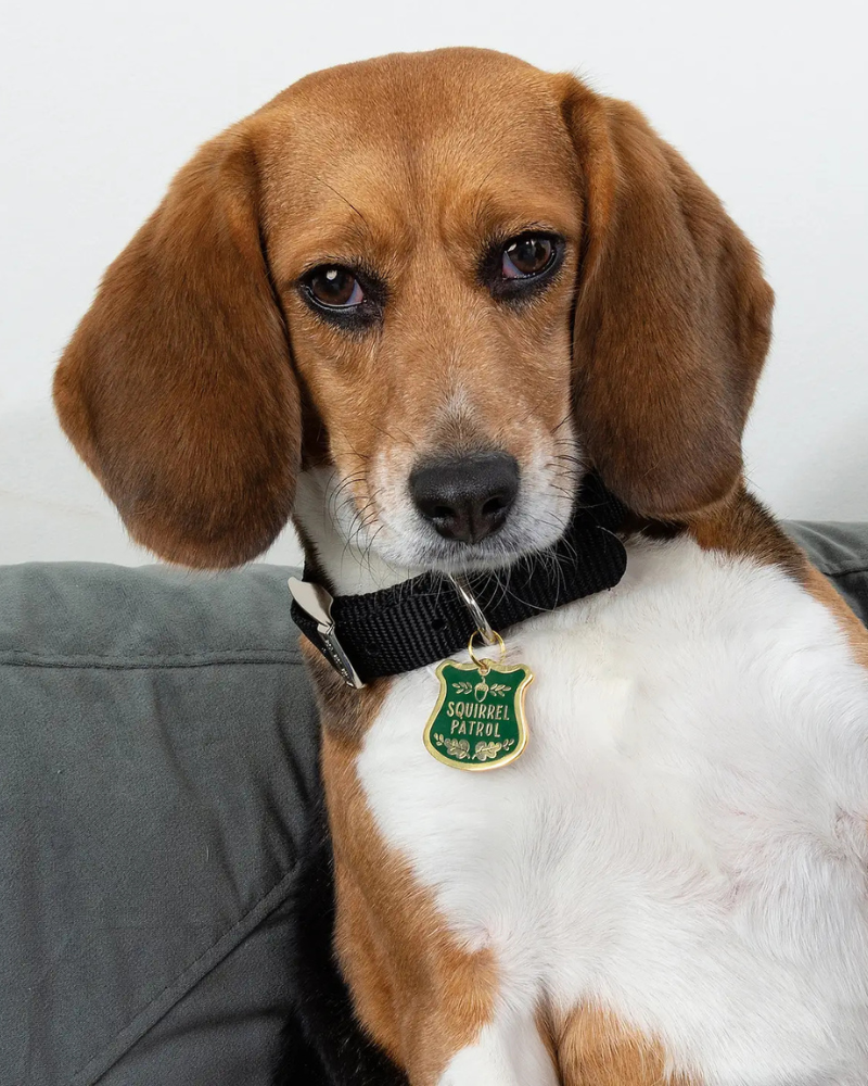 Squirrel Patrol Dog Collar Charm